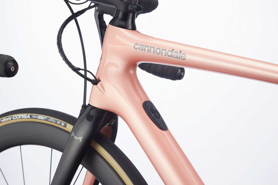 Synapse carbon disc women's ultegra di2 sale