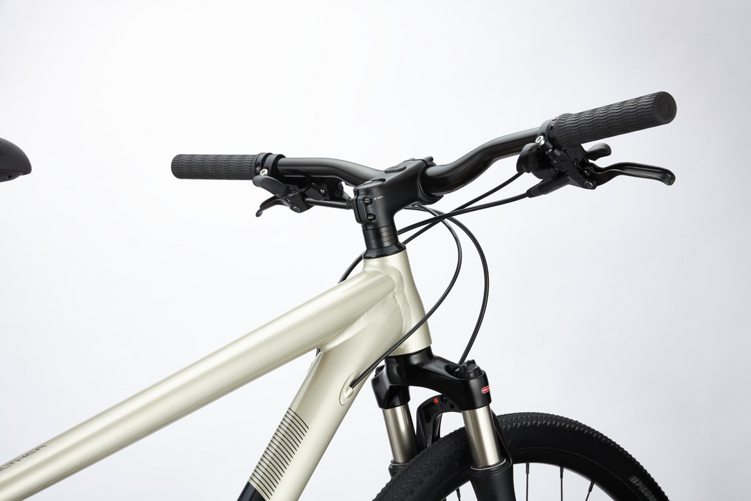 Cannondale althea eleash 2020