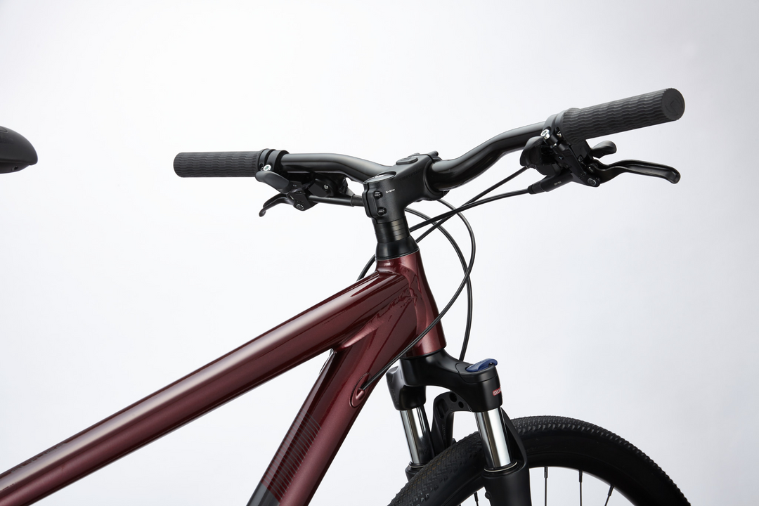 Cannondale althea 3 hotsell